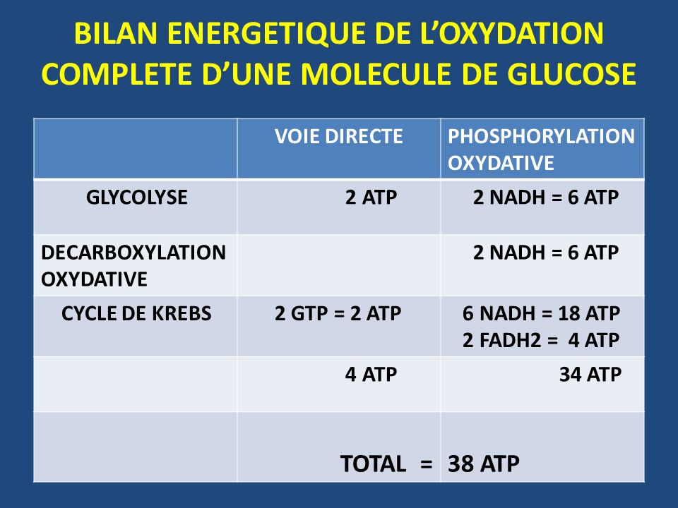 BILAN ENERGETIQUE DE L’OXYDATION COMPLETE D’UNE MOLECULE DE GLUCOSE