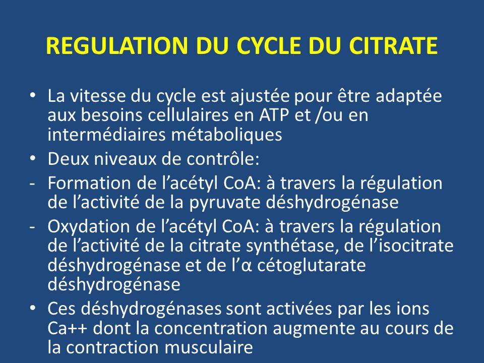 REGULATION DU CYCLE DU CITRATE
