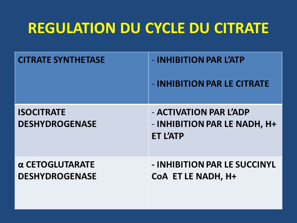 REGULATION DU CYCLE DU CITRATE