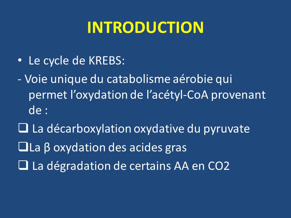 INTRODUCTION Le cycle de KREBS: