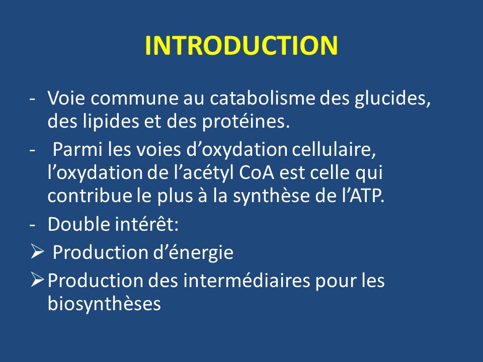 INTRODUCTION Voie commune au catabolisme des glucides, des lipides et des protéines.
