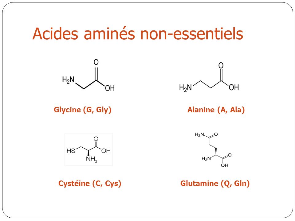 Acides aminés non-essentiels