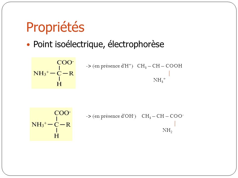 Propriétés Point isoélectrique, électrophorèse