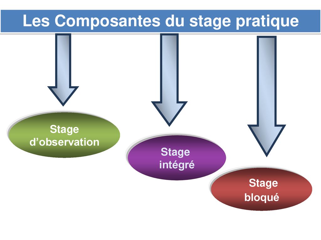 Les Composantes du stage pratique
