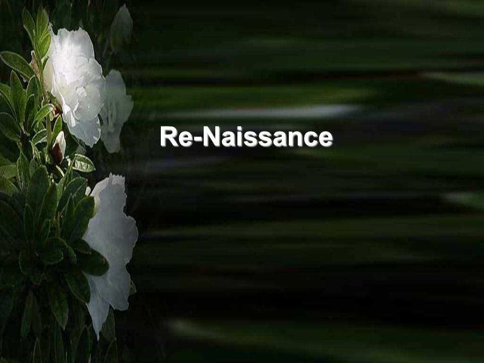 Re-Naissance