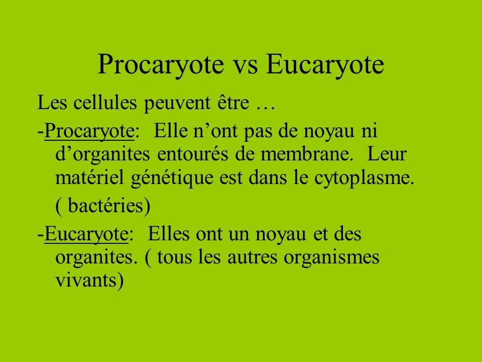 Procaryote vs Eucaryote