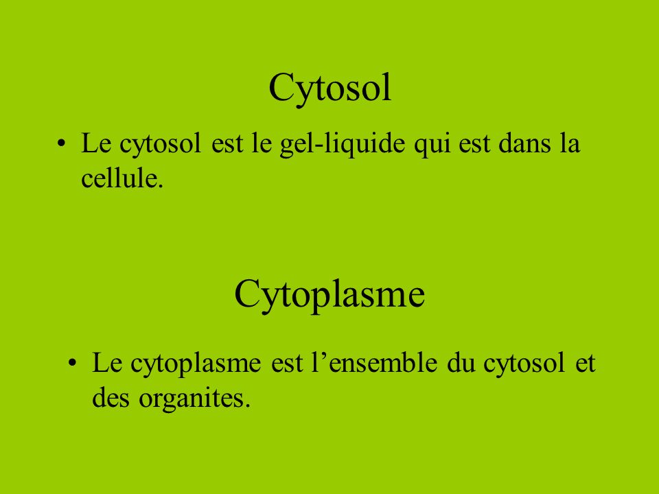 Cytosol Le cytosol est le gel-liquide qui est dans la cellule.