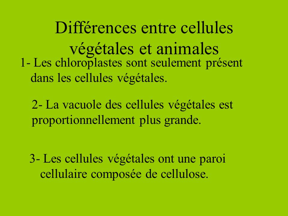 Différences entre cellules végétales et animales