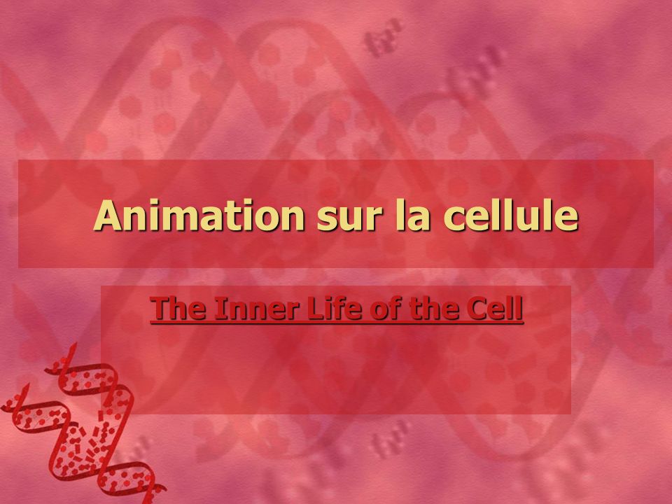 Animation sur la cellule