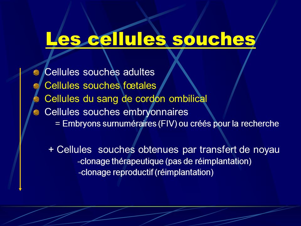 Les cellules souches Cellules souches adultes Cellules souches fœtales