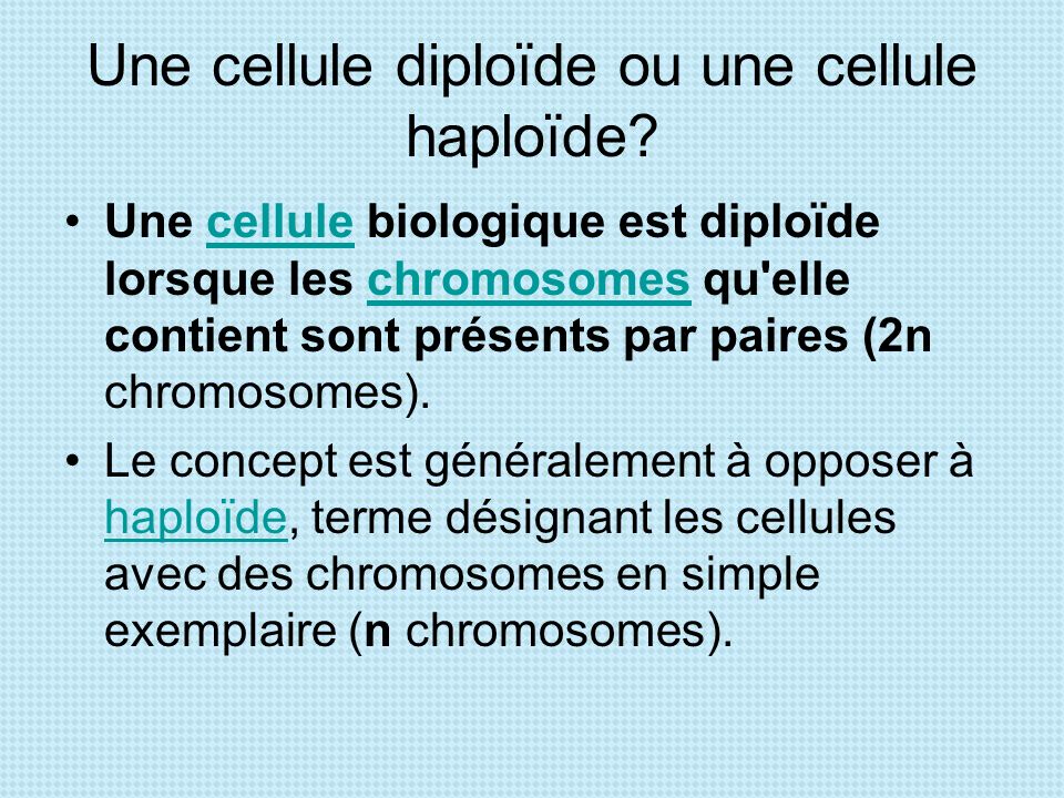 Une cellule diploïde ou une cellule haploïde
