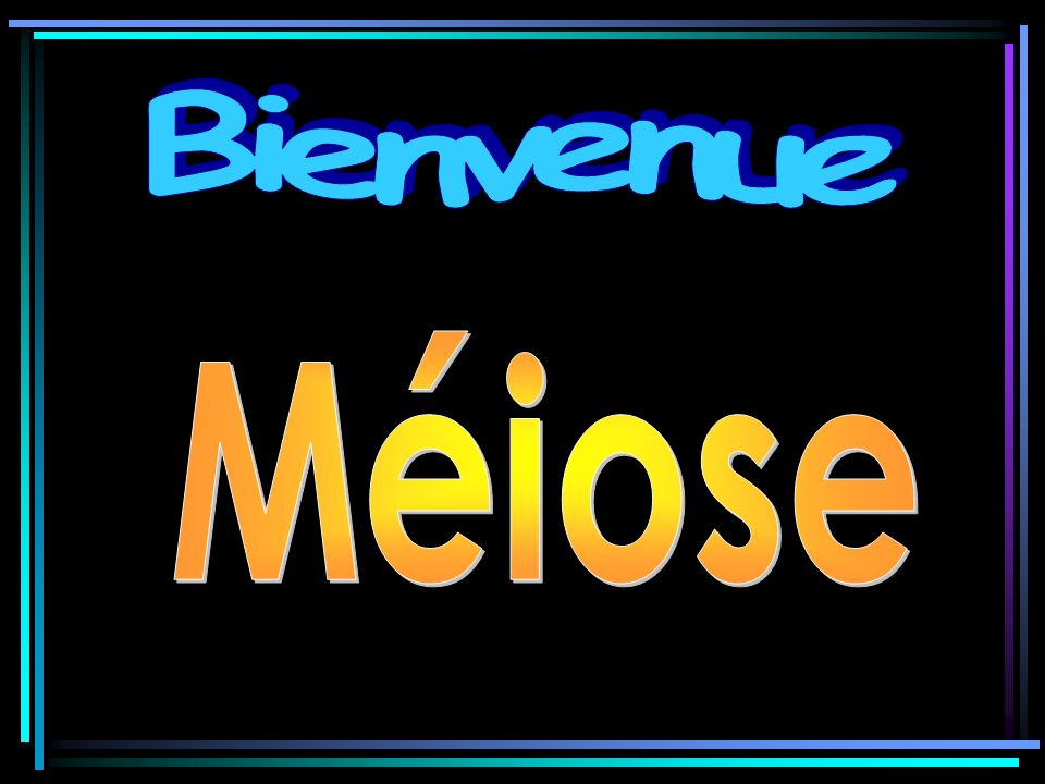 Bienvenue Méiose