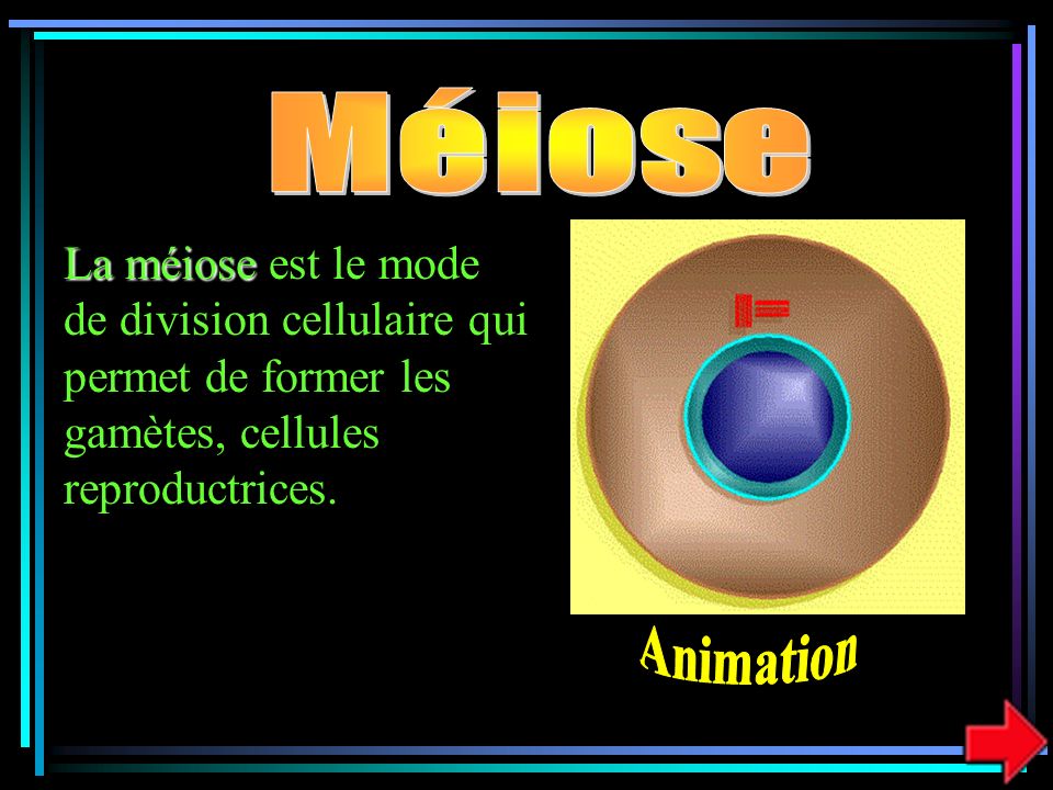 Méiose La méiose est le mode de division cellulaire qui permet de former les gamètes, cellules reproductrices.