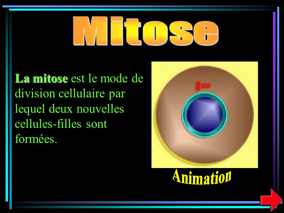 Mitose La mitose est le mode de division cellulaire par lequel deux nouvelles cellules-filles sont formées.