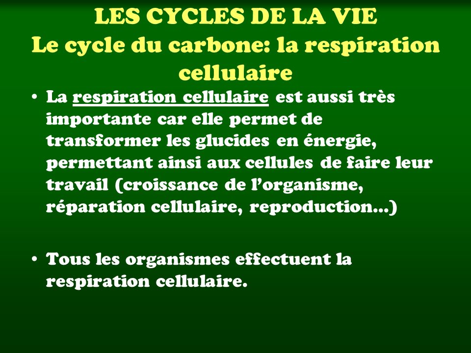 LES CYCLES DE LA VIE Le cycle du carbone: la respiration cellulaire