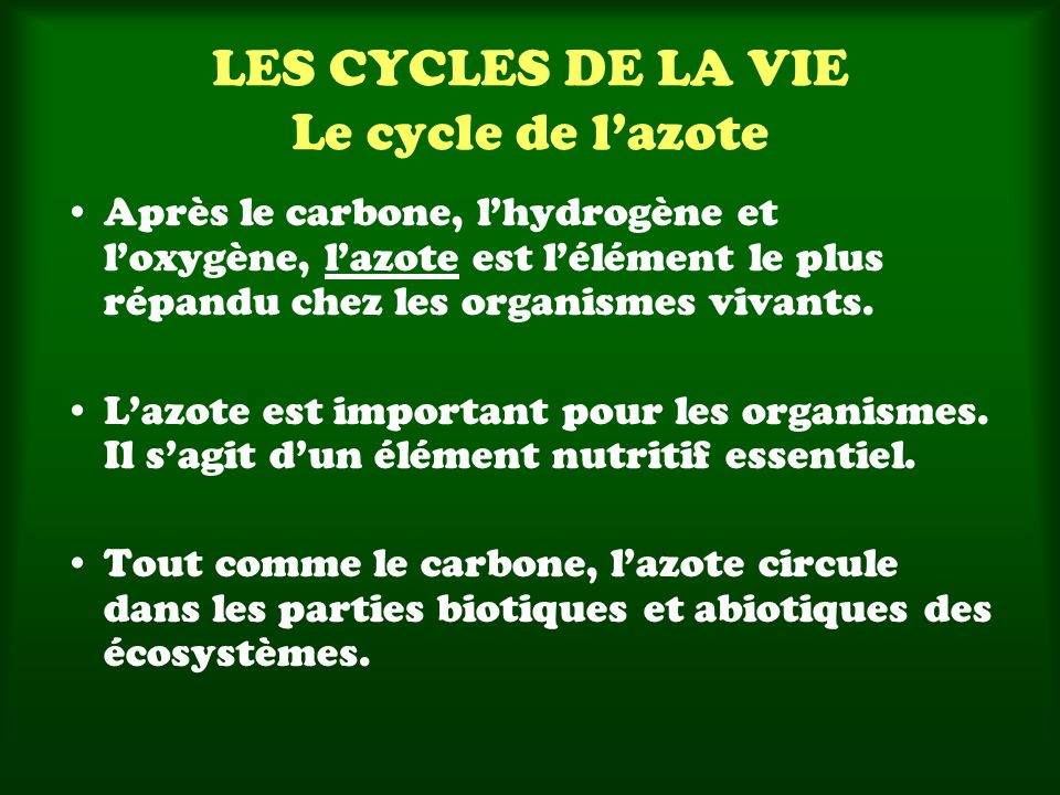 LES CYCLES DE LA VIE Le cycle de l’azote