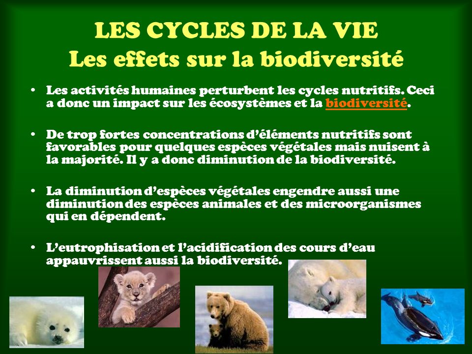 LES CYCLES DE LA VIE Les effets sur la biodiversité
