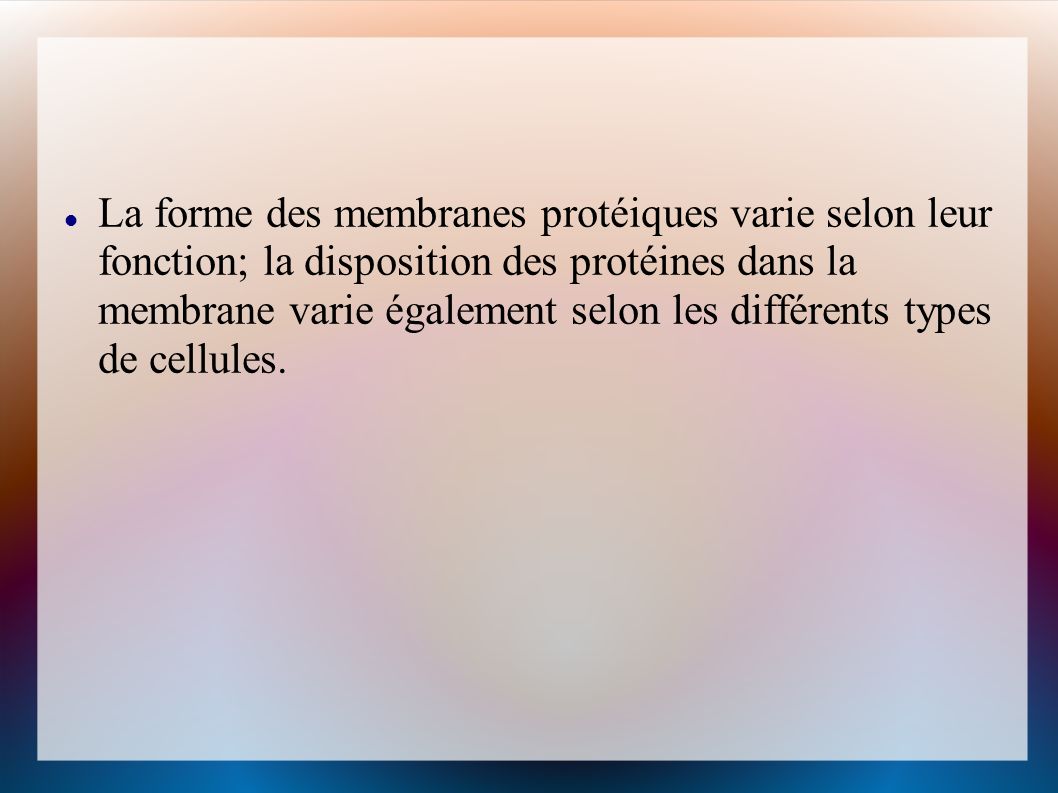 La forme des membranes protéiques varie selon leur fonction; la disposition des protéines dans la membrane varie également selon les différents types de cellules.