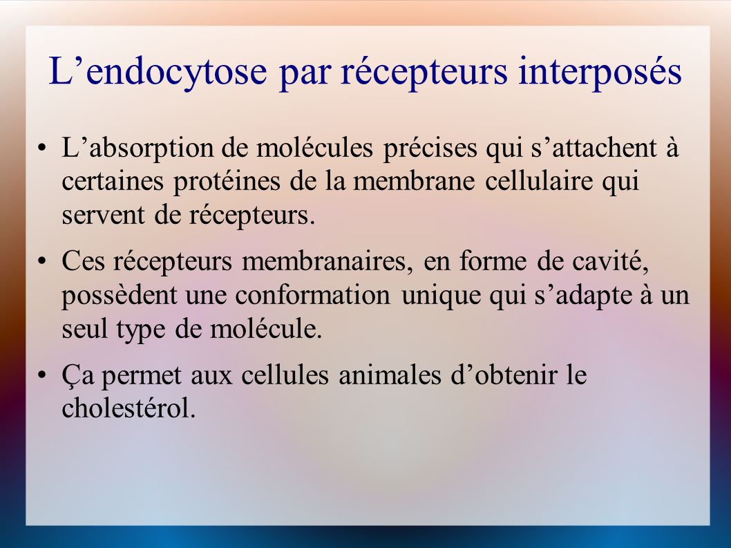 L’endocytose par récepteurs interposés