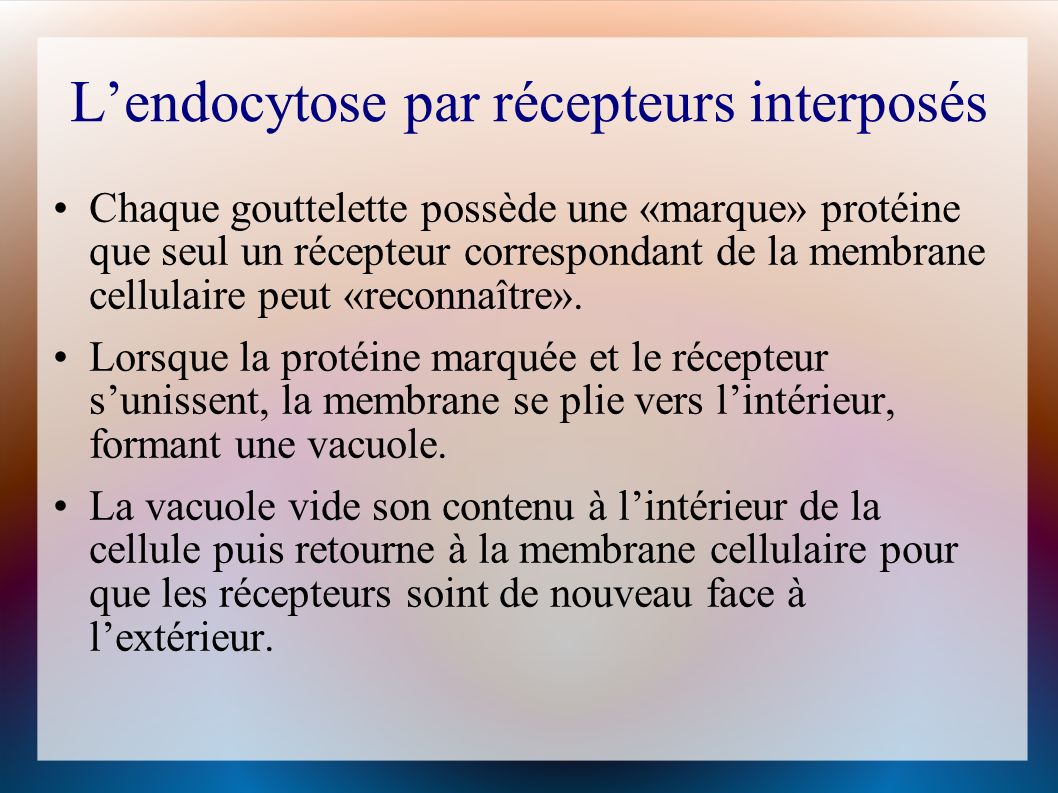L’endocytose par récepteurs interposés