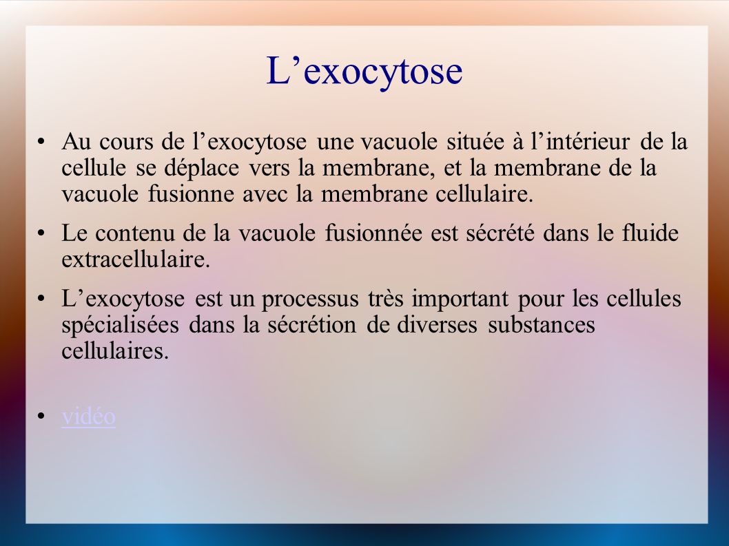 L’exocytose