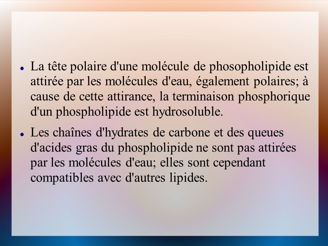 La tête polaire d une molécule de phosopholipide est attirée par les molécules d eau, également polaires; à cause de cette attirance, la terminaison phosphorique d un phospholipide est hydrosoluble.