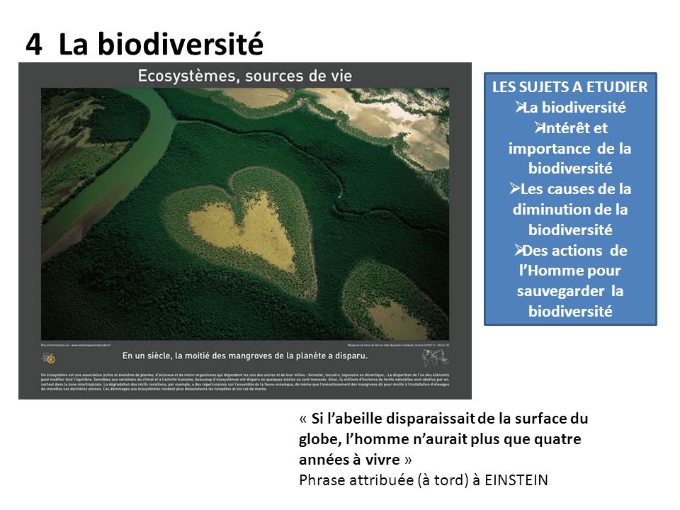 4 La biodiversité LES SUJETS A ETUDIER La biodiversité