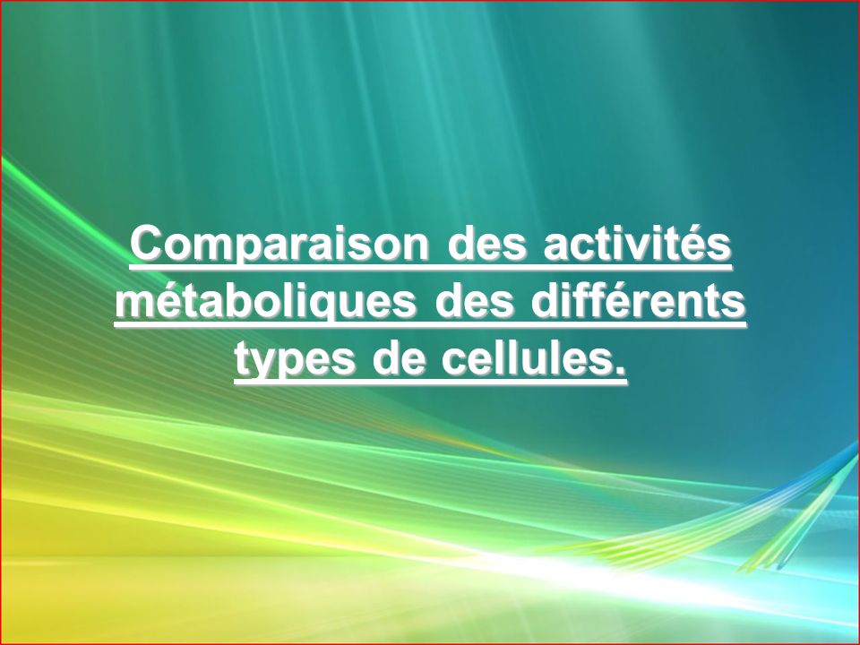 Comparaison des activités métaboliques des différents types de cellules.