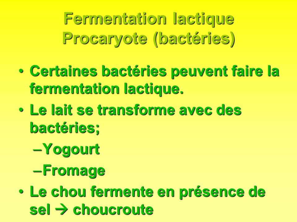 Fermentation lactique Procaryote (bactéries)