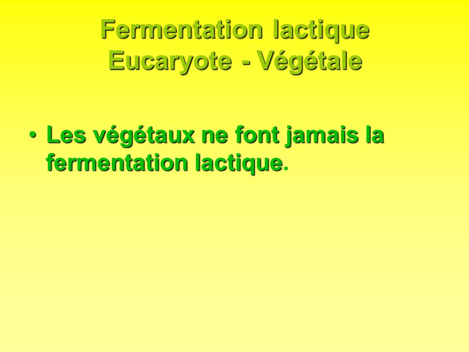 Fermentation lactique Eucaryote - Végétale