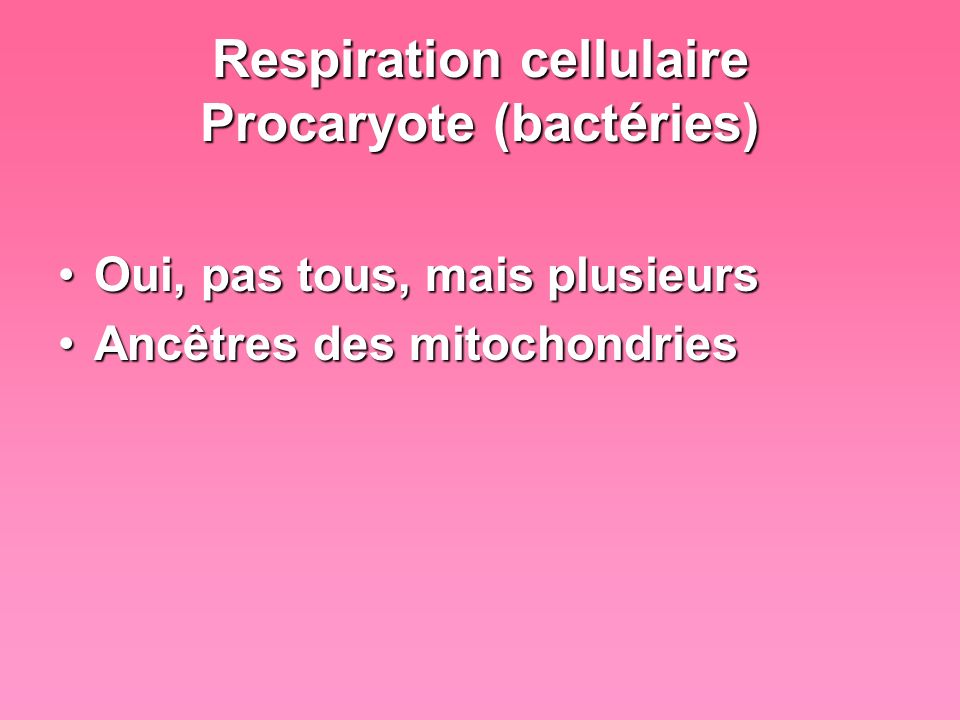 Respiration cellulaire Procaryote (bactéries)