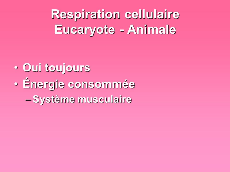 Respiration cellulaire Eucaryote - Animale