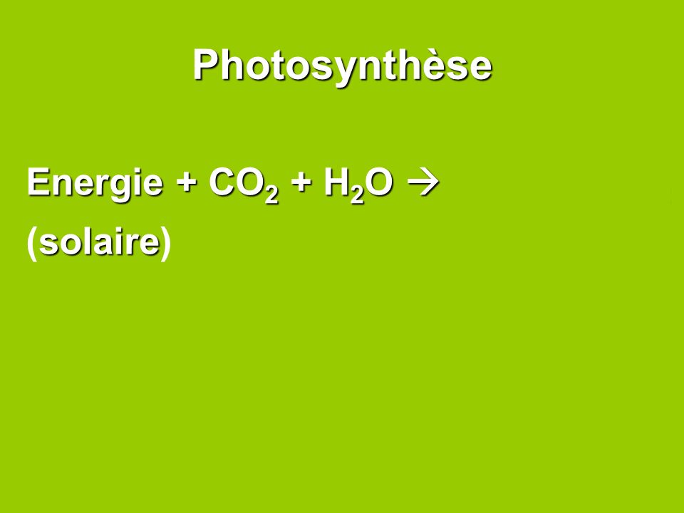 Photosynthèse Energie + CO2 + H2O  C6H12O6+ O2 (solaire)