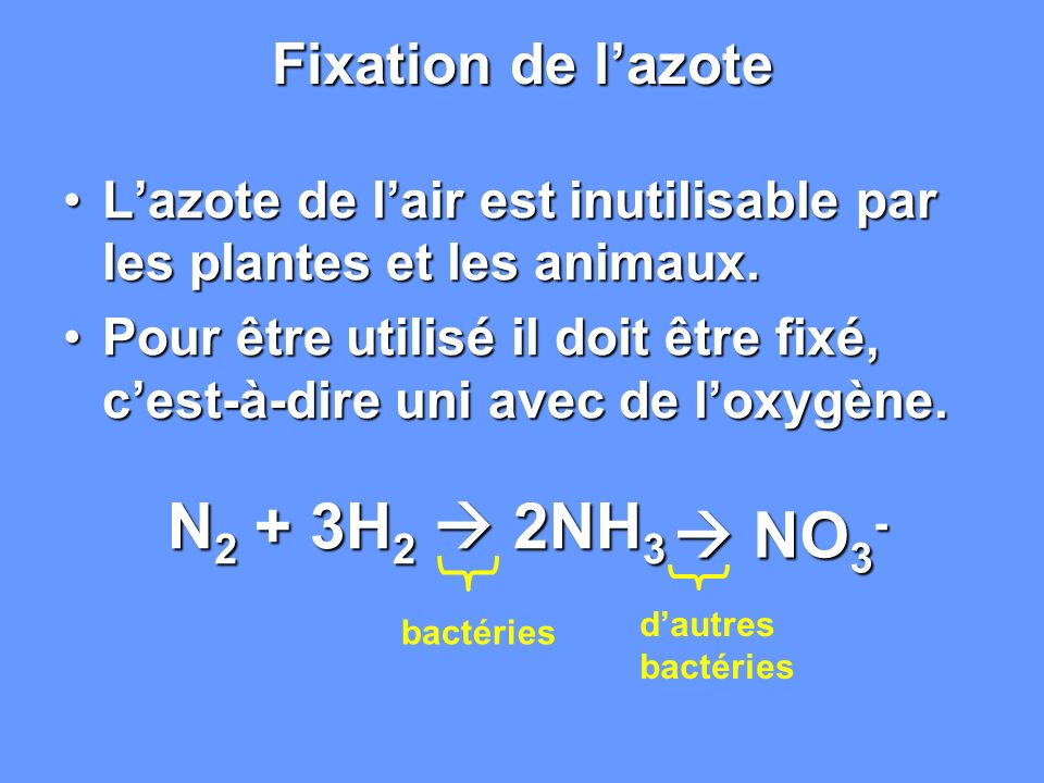  NO3- Fixation de l’azote