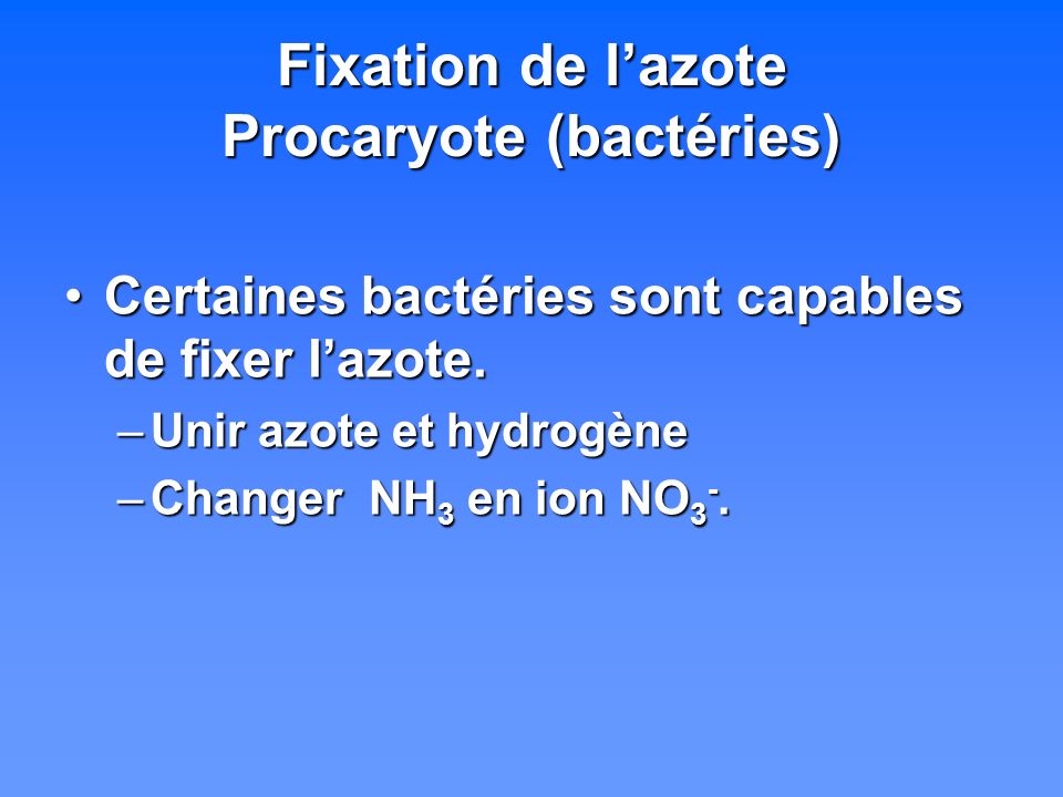 Fixation de l’azote Procaryote (bactéries)