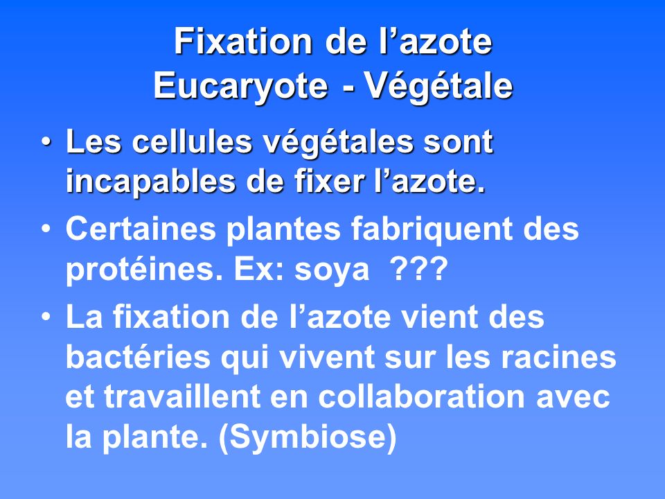 Fixation de l’azote Eucaryote - Végétale