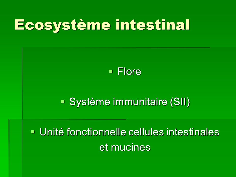 Ecosystème intestinal