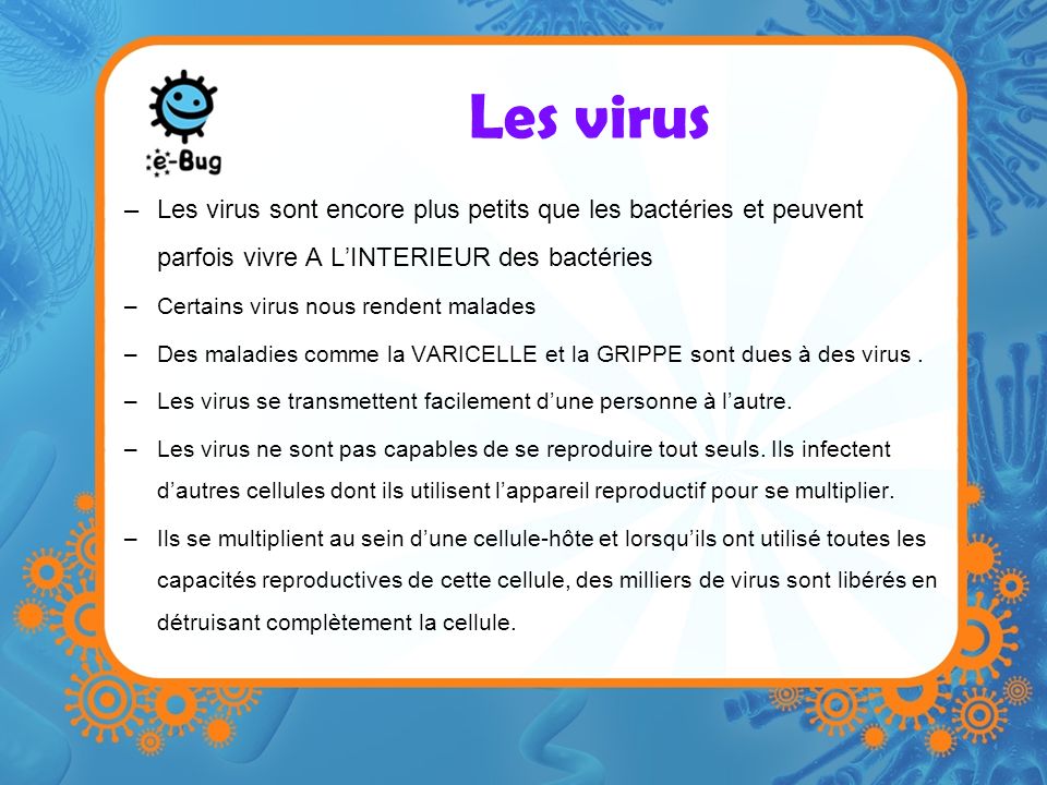 Les virus Les virus sont encore plus petits que les bactéries et peuvent parfois vivre A L’INTERIEUR des bactéries.