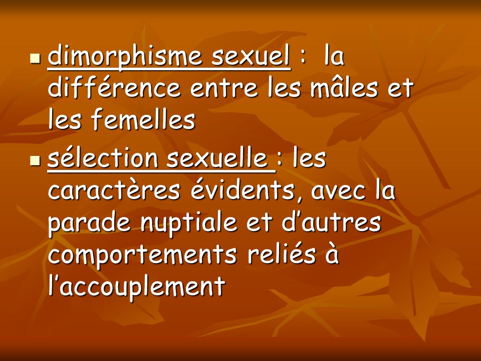 dimorphisme sexuel : la différence entre les mâles et les femelles