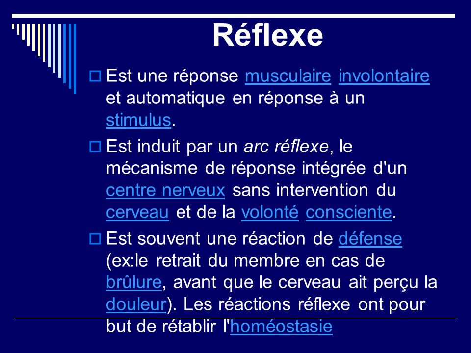 Réflexe Est une réponse musculaire involontaire et automatique en réponse à un stimulus.
