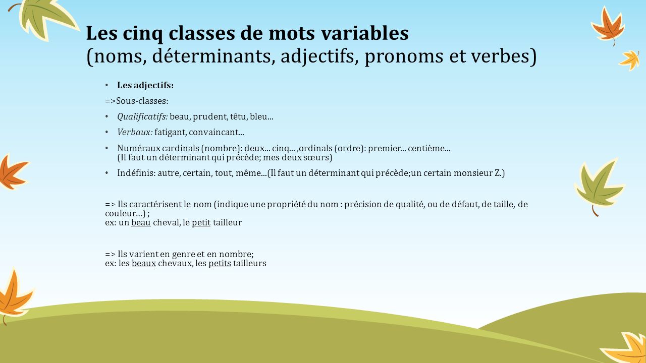 Les cinq classes de mots variables (noms, déterminants, adjectifs, pronoms et verbes)