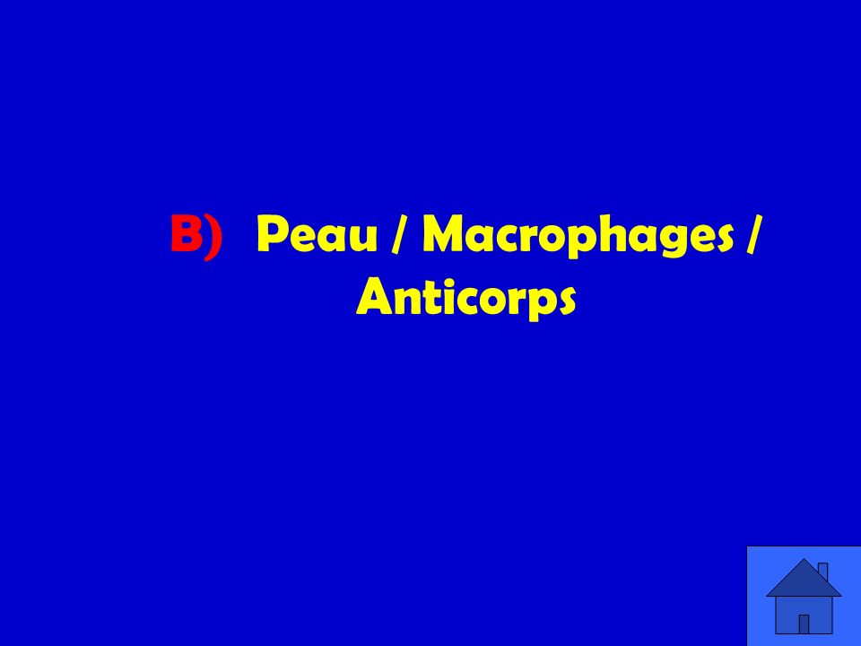 B) Peau / Macrophages / Anticorps