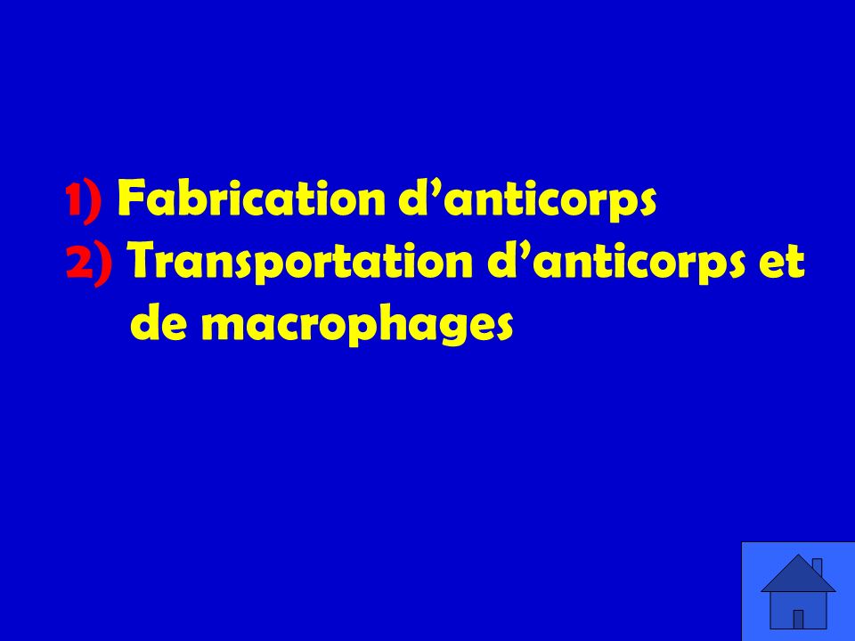 1) Fabrication d’anticorps 2) Transportation d’anticorps et