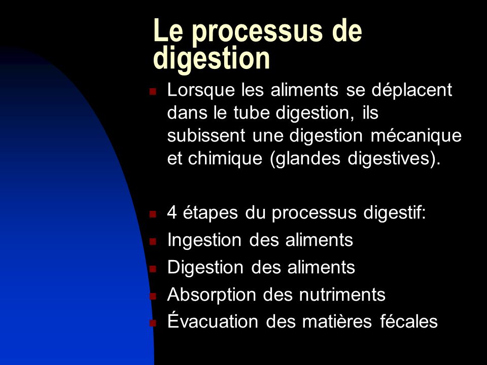 Le processus de digestion
