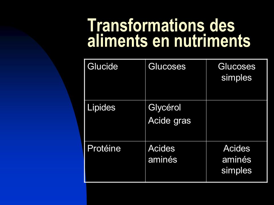 Transformations des aliments en nutriments