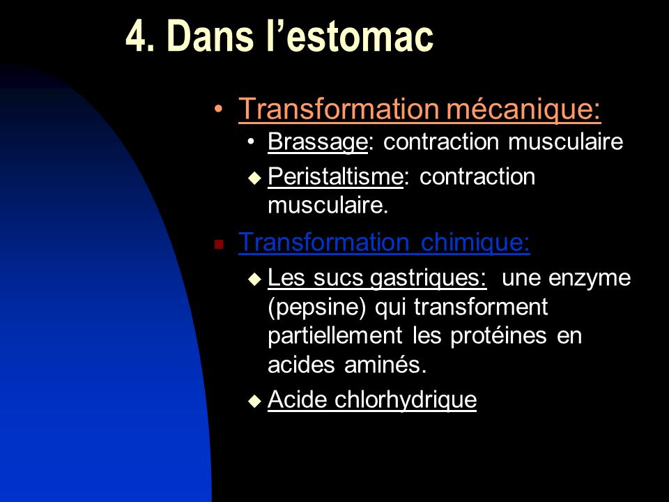 4. Dans l’estomac Transformation mécanique: Transformation chimique: