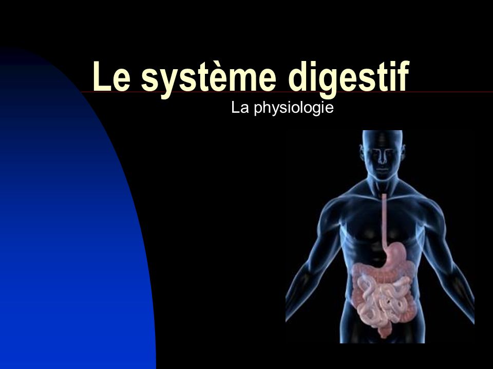 Le système digestif La physiologie