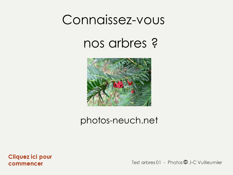 Connaissez-vous nos arbres photos-neuch.net