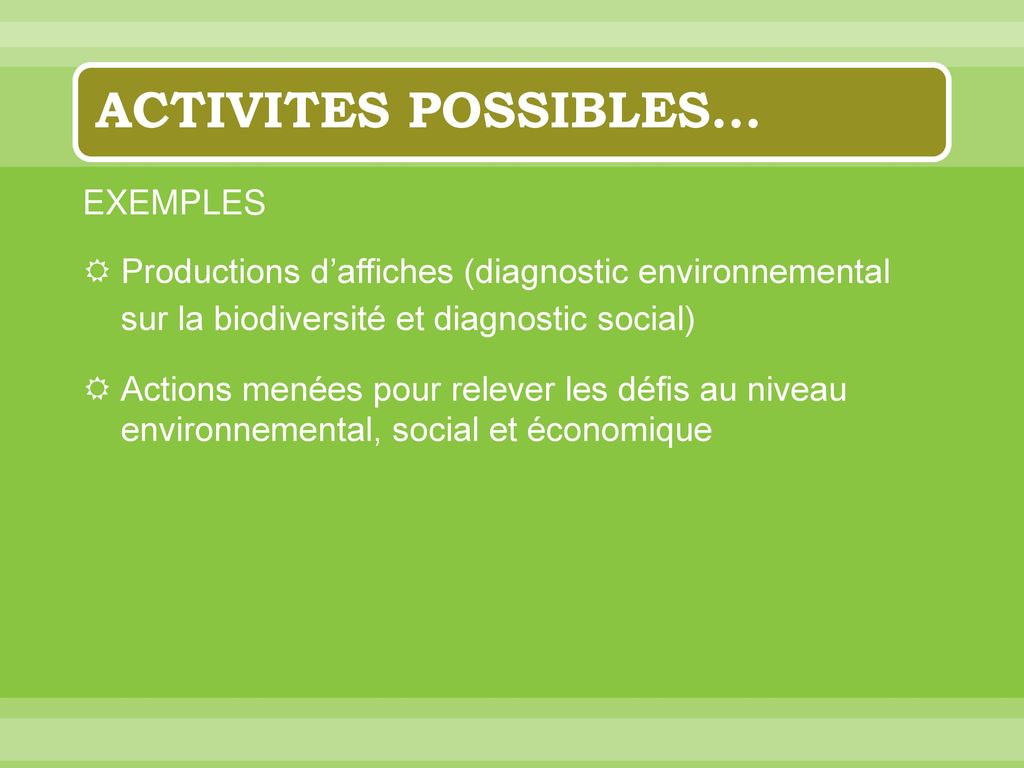 ACTIVITES POSSIBLES… EXEMPLES. Productions d’affiches (diagnostic environnemental sur la biodiversité et diagnostic social)