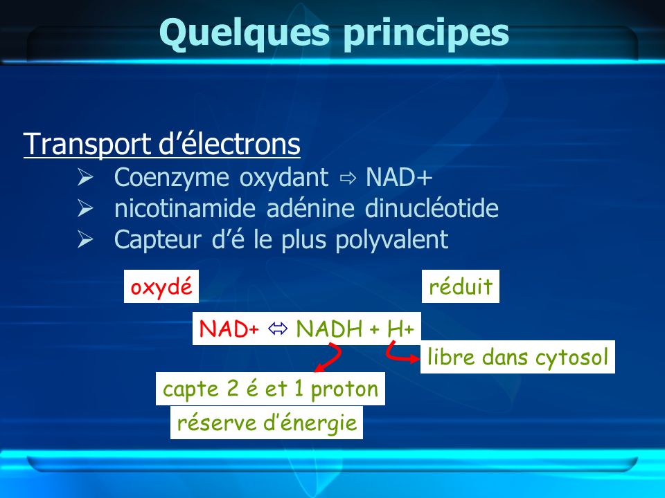 Quelques principes Transport d’électrons Coenzyme oxydant  NAD+